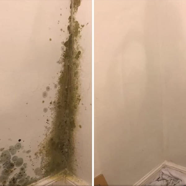 Image of Facebook post